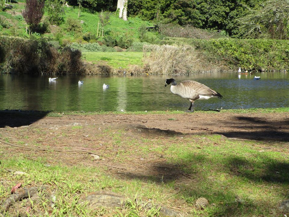 85236036_10221340433766645_3544259123497402368_o