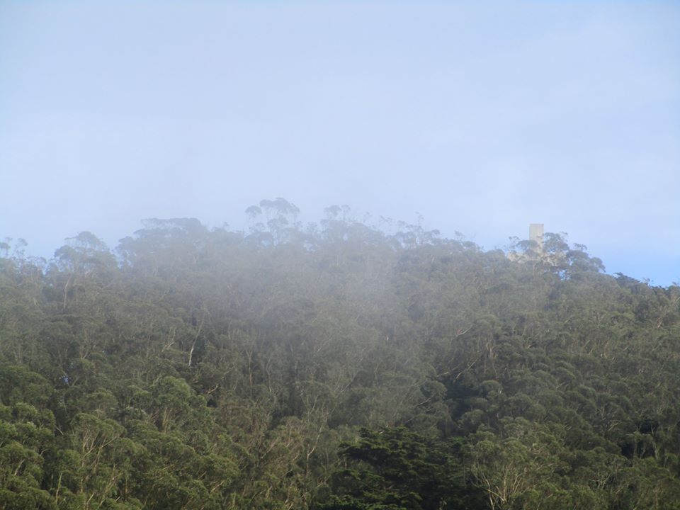 85244732_10221340385485438_3638252262272270336_o