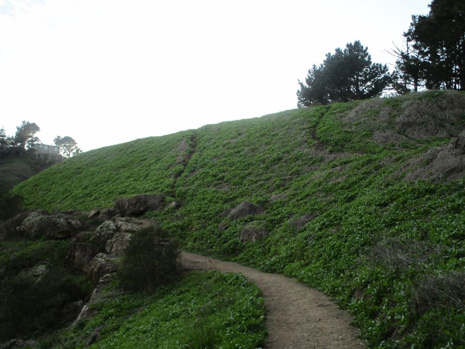 86190830_10221340396325709_5955918350084210688_o