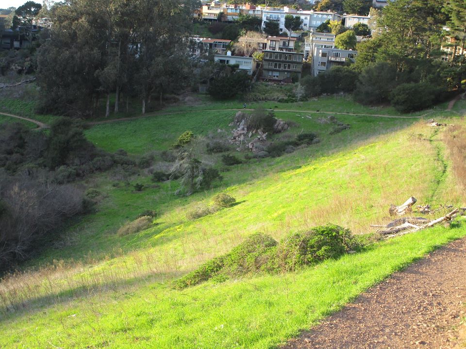 86258004_10221340396725719_6445069014329720832_o