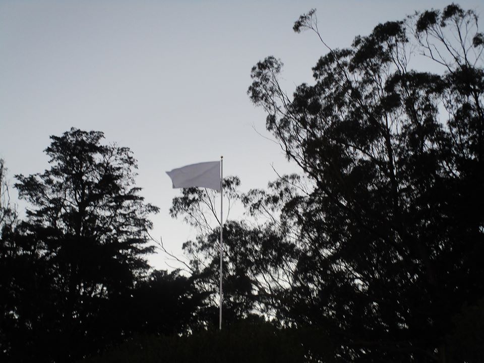 86261342_10221340401645842_7222723528179580928_o