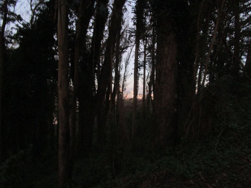 86261964_10221340428326509_2467642171080048640_o