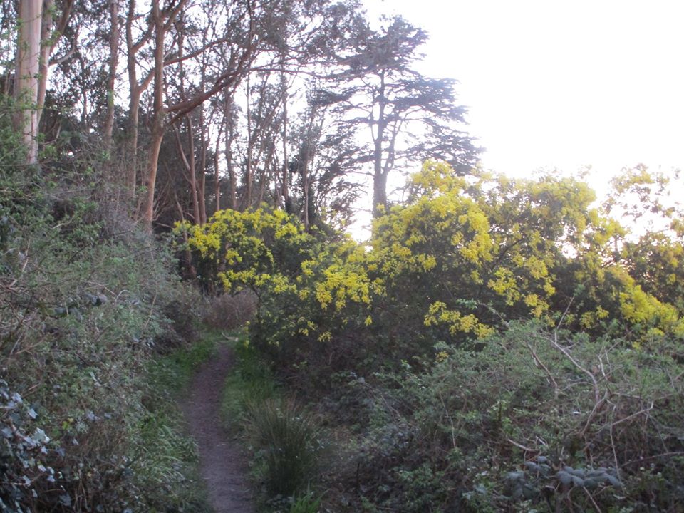 86267339_10221340424566415_226090587449720832_o