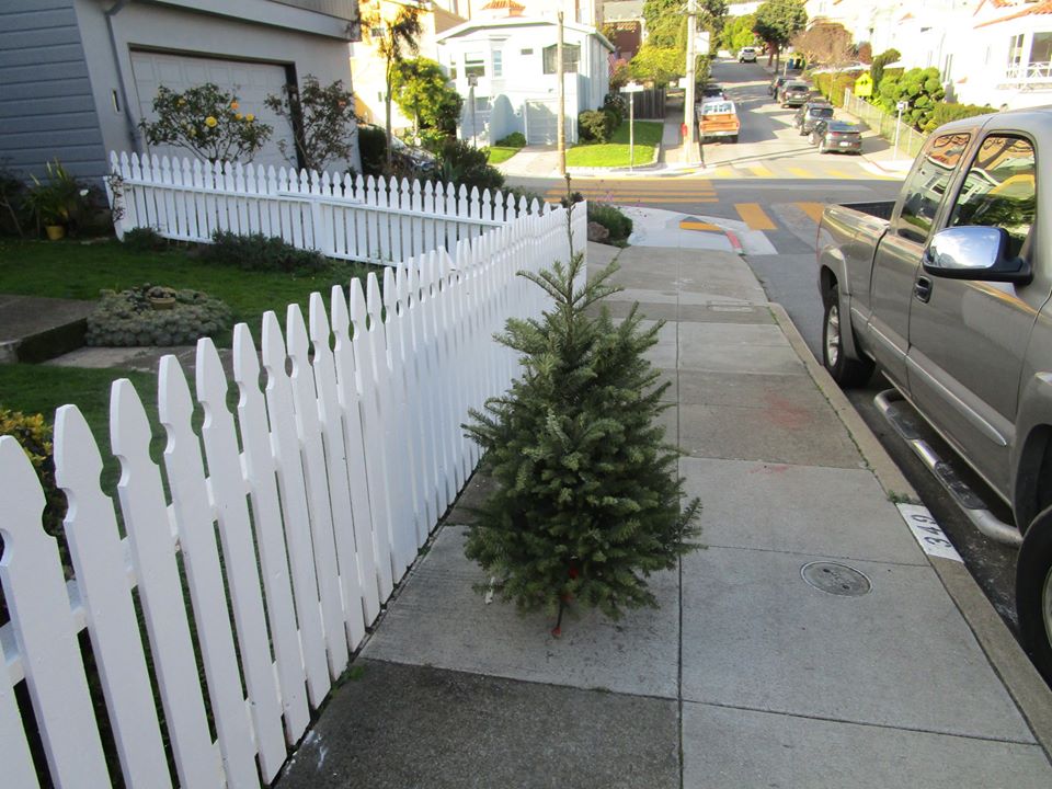 86281414_10221340391485588_7783011443690962944_o