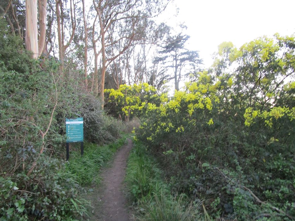 88099597_10221521914703555_8870950814663835648_o