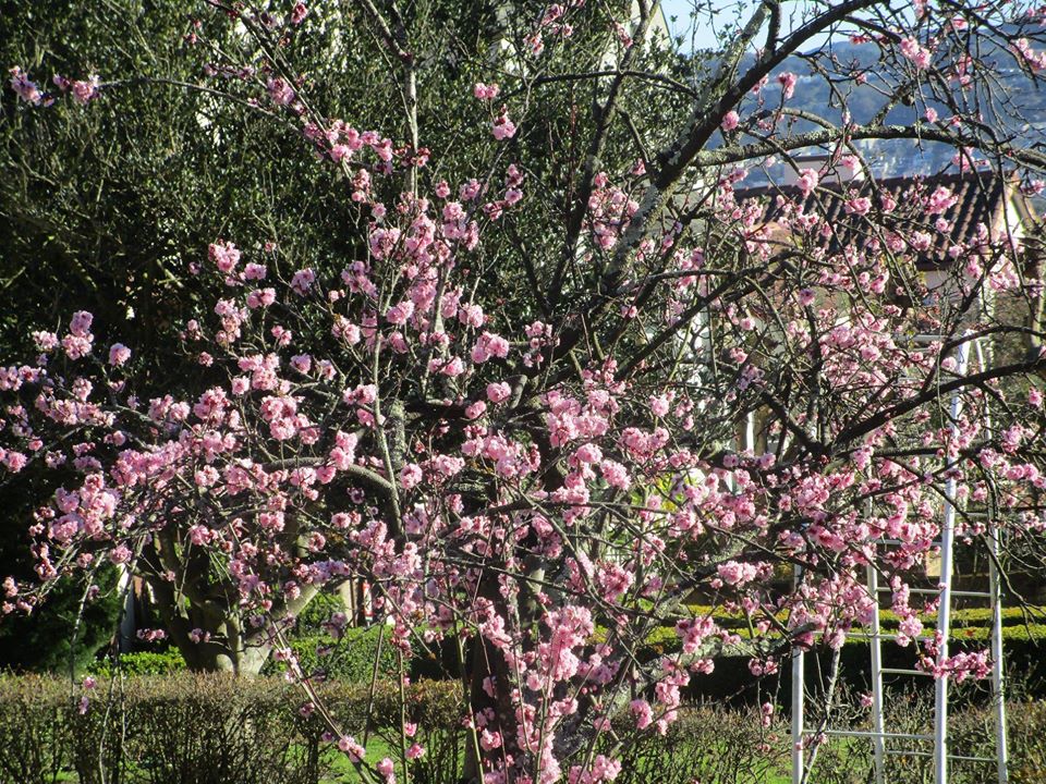 88175329_10221521915863584_1049486567426490368_o