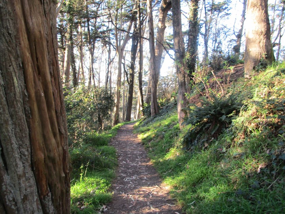 87838677_10221521942664254_2144235110830964736_o