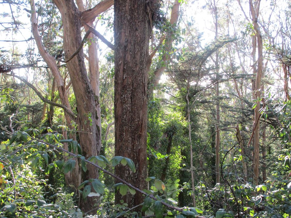 88100735_10221521919423673_8580141233341464576_o