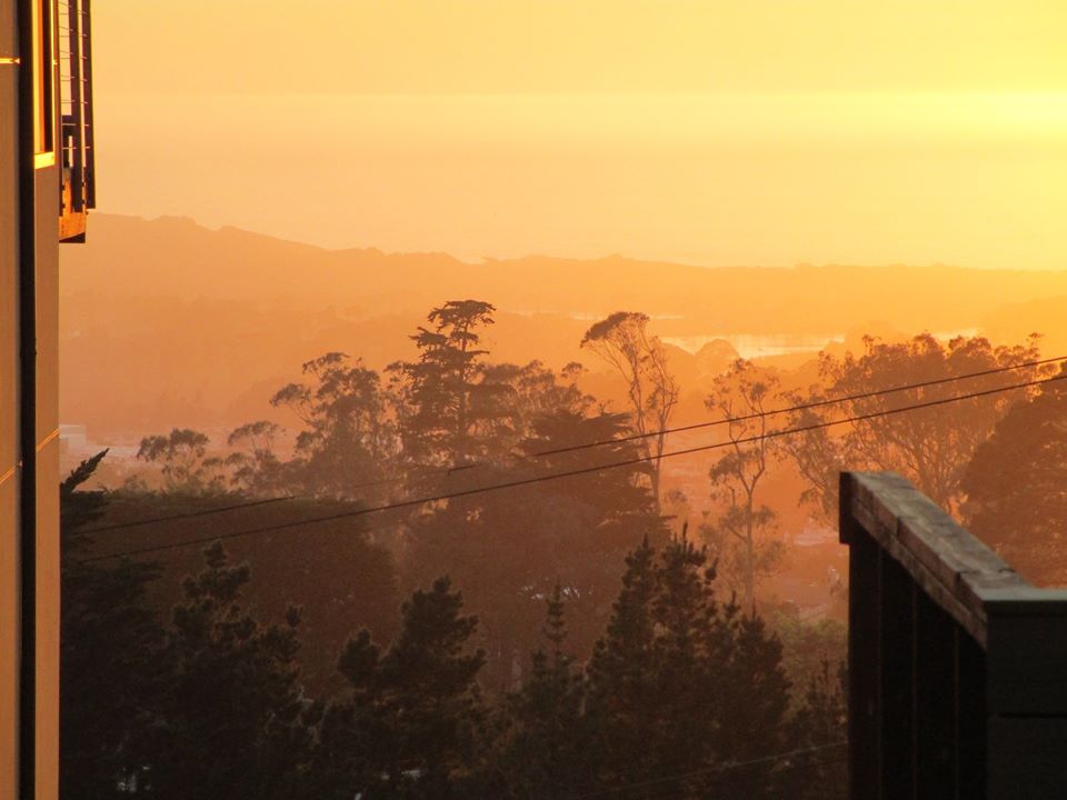 88126095_10221608097498071_7141930709395963904_o