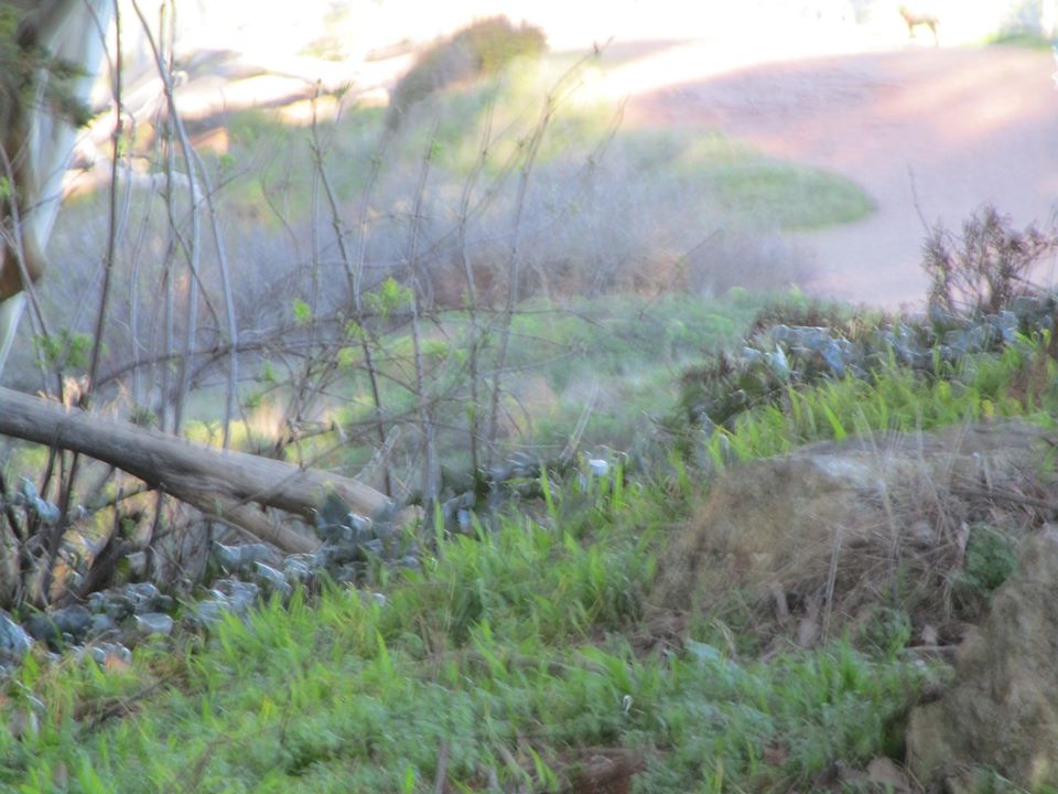 88152981_10221521915663579_6653058608139337728_o