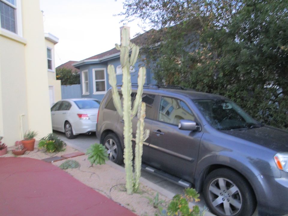 88185982_10221608099298116_6146986670395752448_o