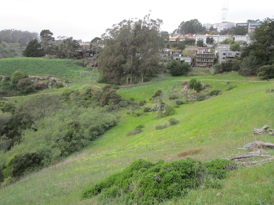 88237160_10221670240171599_8226713811982221312_o