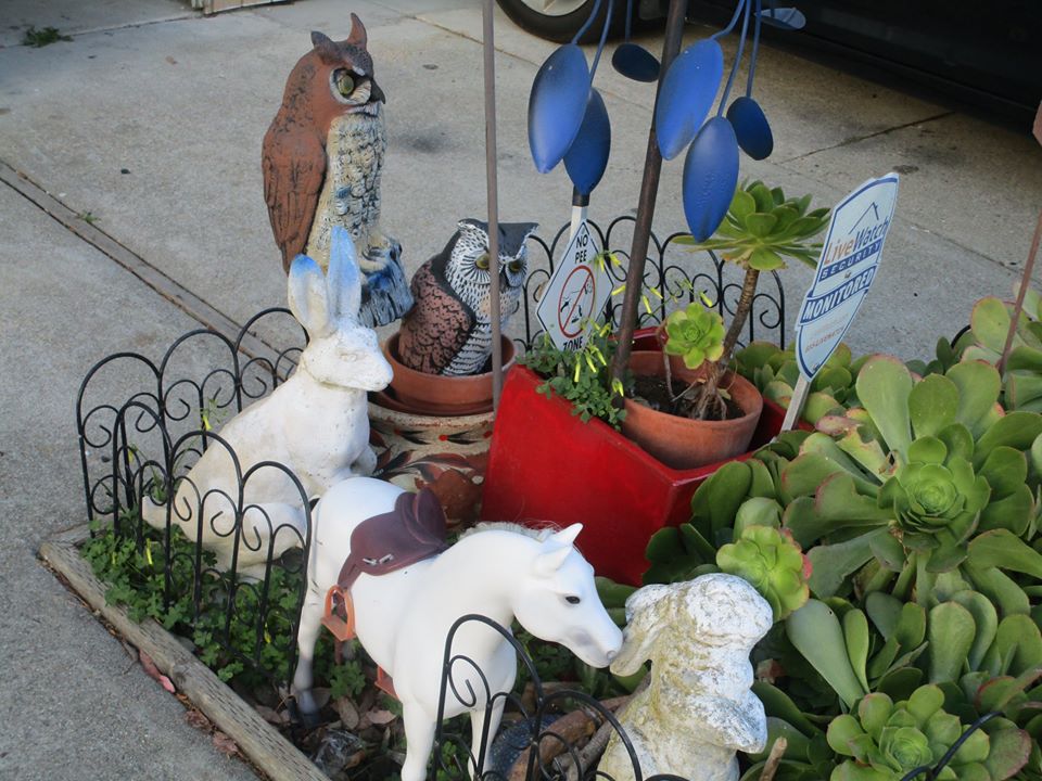 88241719_10221608103458220_6478559588755963904_o