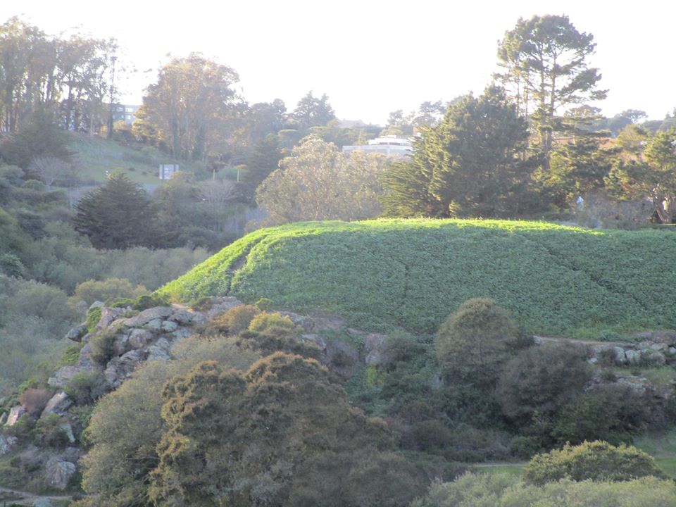 88303455_10221608106778303_7667290542107000832_o