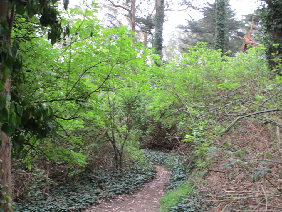 89017090_10221608101338167_5789500711100219392_o