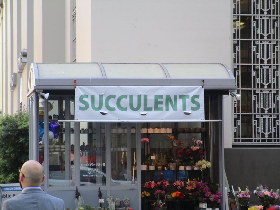 89035702_10221608099418119_7593284214032695296_o