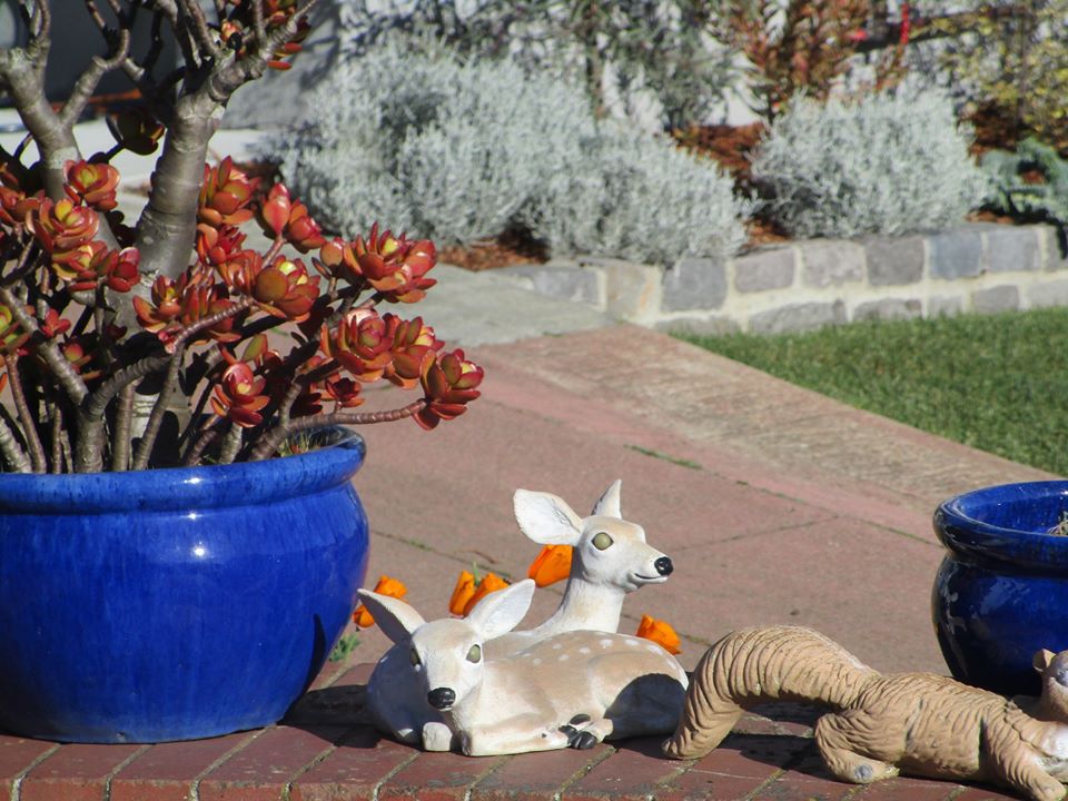 89060468_10221521944024288_4173731922695946240_o