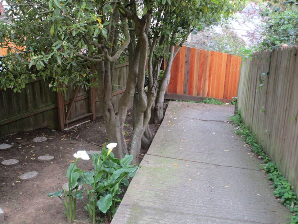 89548023_10221670197090522_2568168908594872320_o