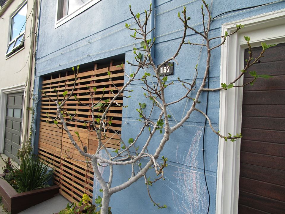 89590545_10221670217291027_2782720108626182144_o