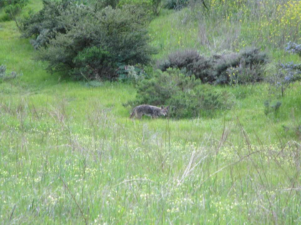 89609960_10221726944549173_7121656818786369536_o