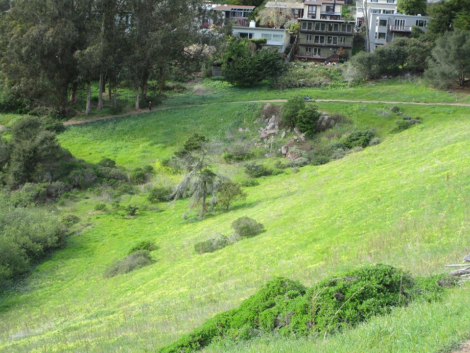 89617927_10221670195890492_5471240683824087040_o