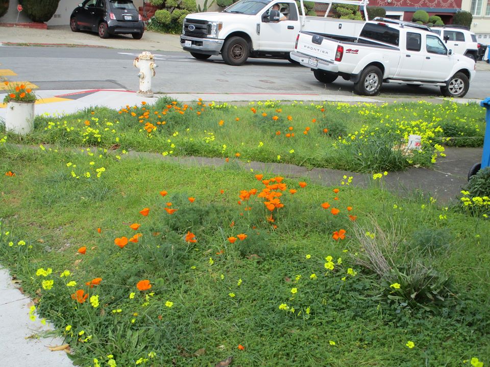 89636499_10221670213090922_1163013049959841792_o