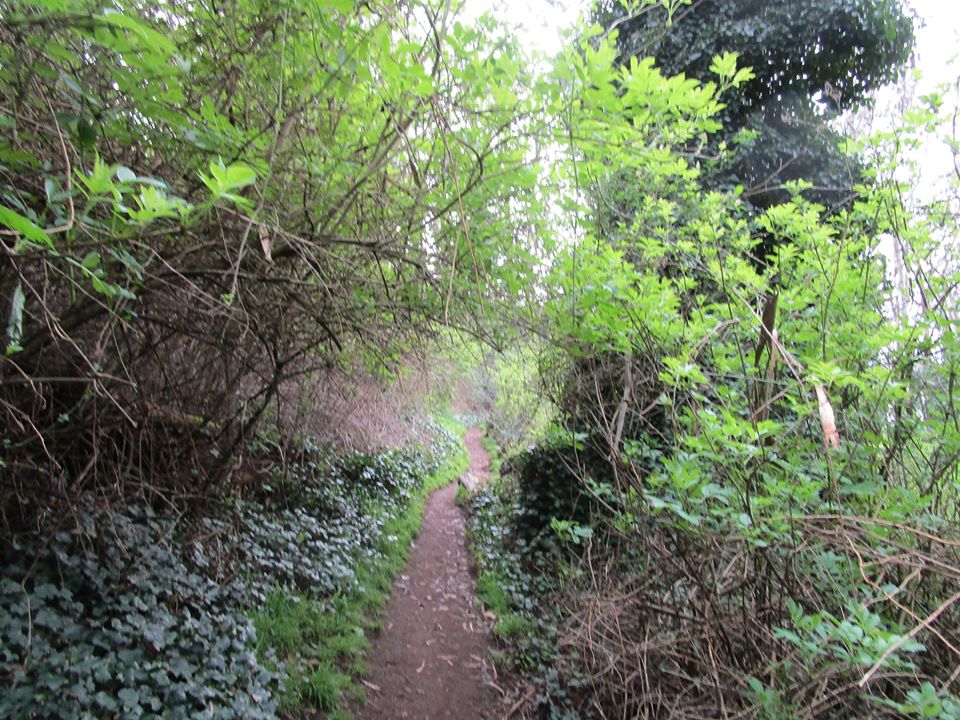 89646661_10221670197490532_998732990429265920_o