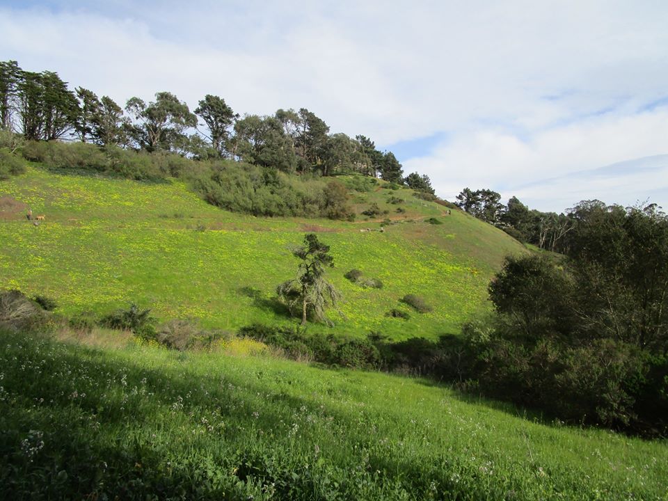 89658612_10221670206490757_3055734927476654080_o