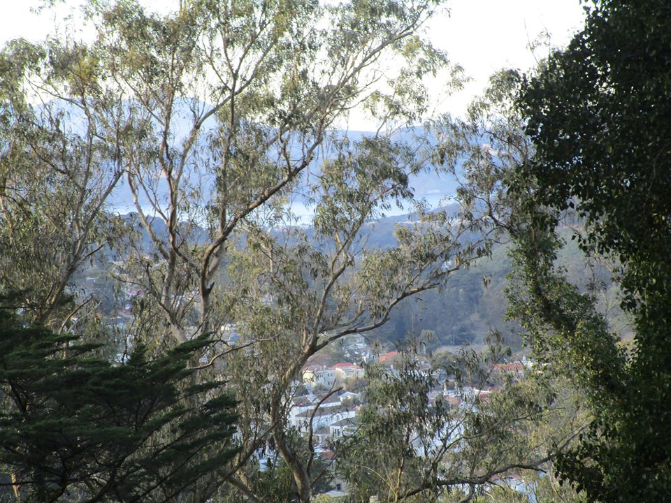 89690842_10221670222131148_5631384797222797312_o