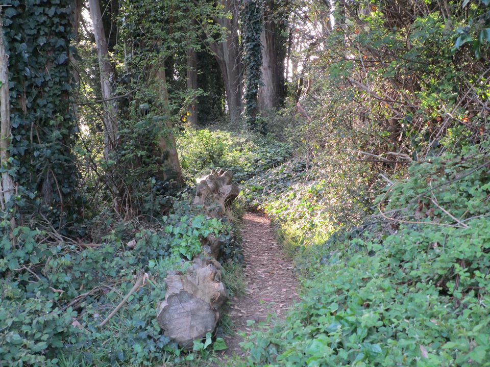 89691301_10221670225091222_179550158621507584_o