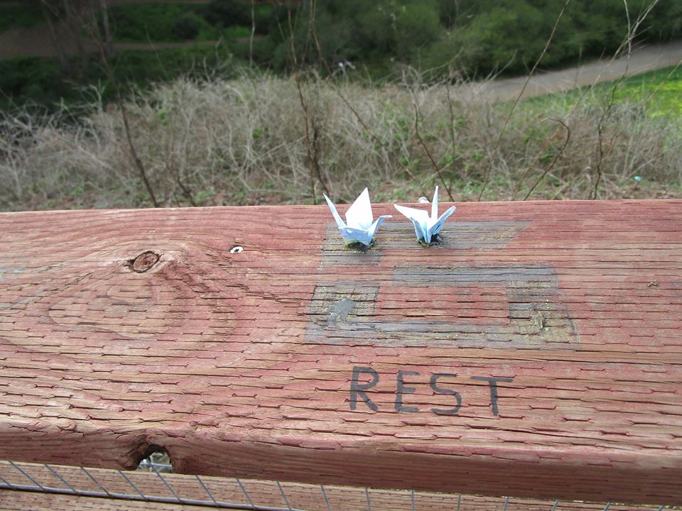 89697793_10221670217971044_3837125903960244224_o