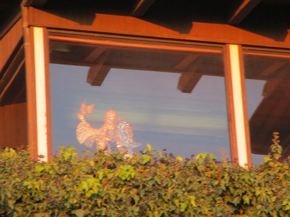 89784443_10221608097858080_3184207698631589888_o