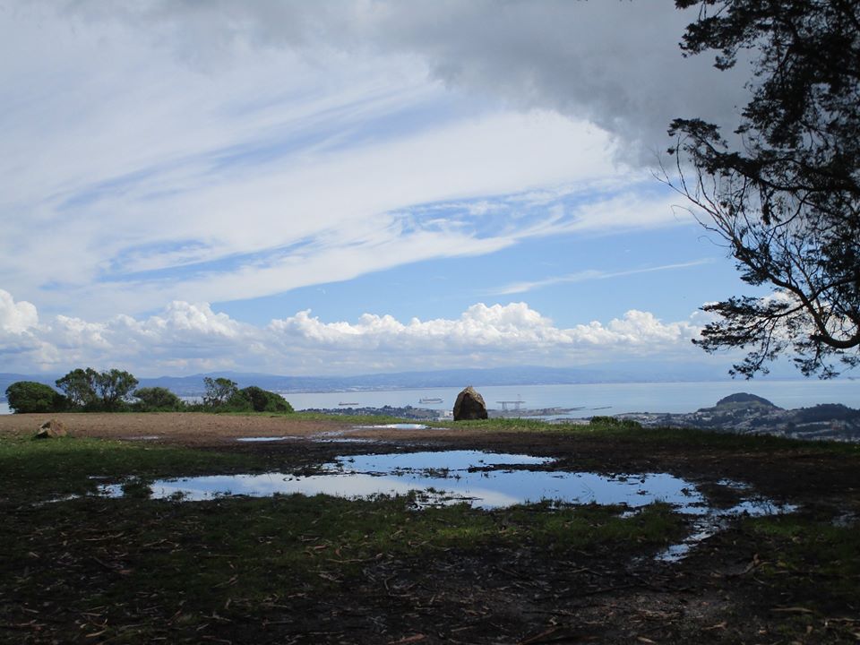 89950421_10221726945709202_2899636991098355712_o