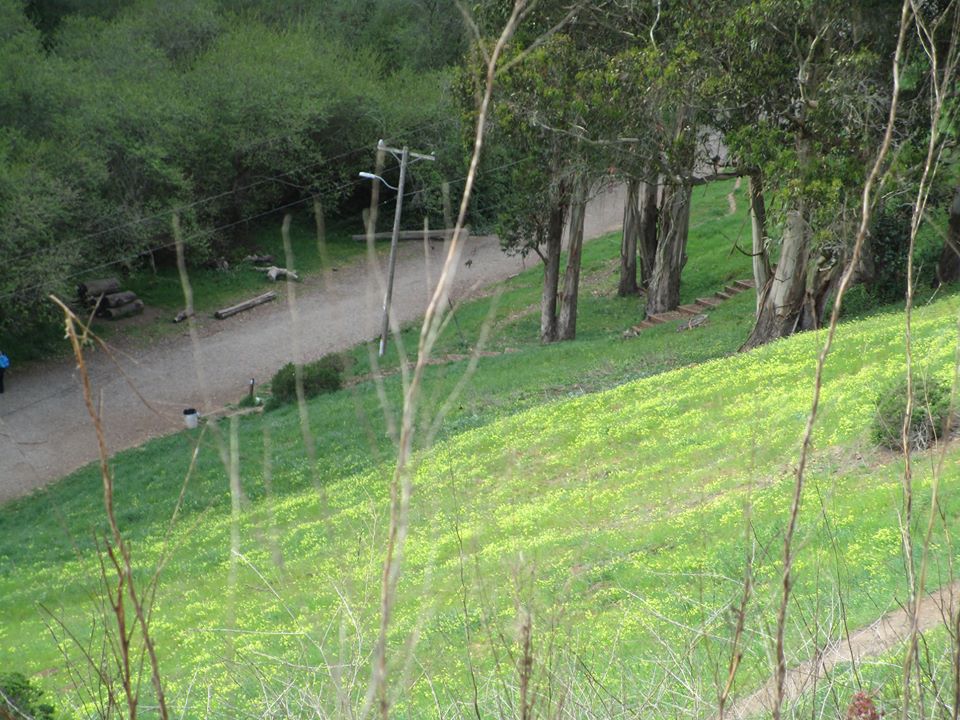 89950867_10221670191410380_2341515216572907520_o