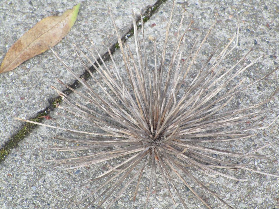 89965402_10221726937829005_8163649449965387776_o