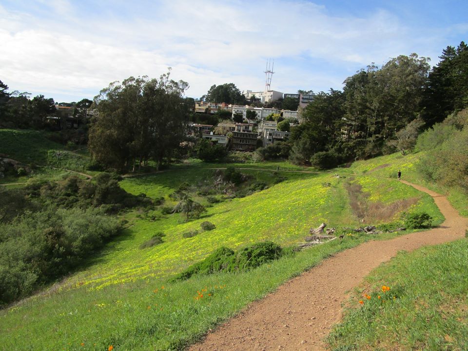 90084631_10221670201290627_5929121280325320704_o