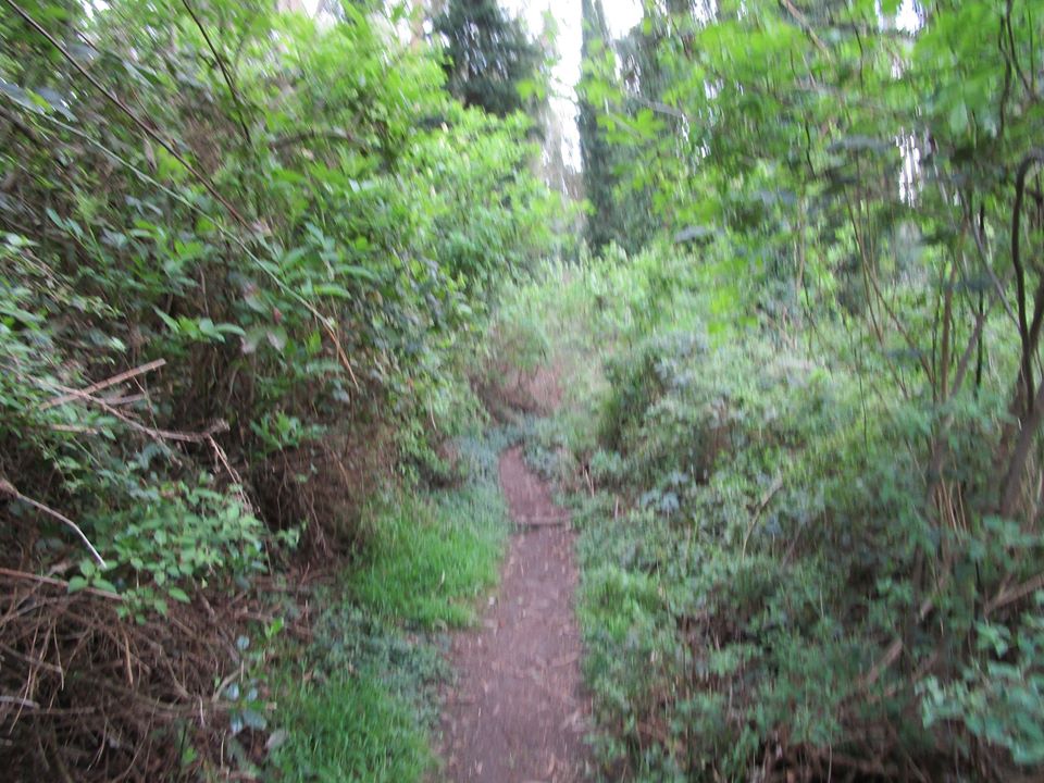 90143045_10221670205170724_264069900916490240_o