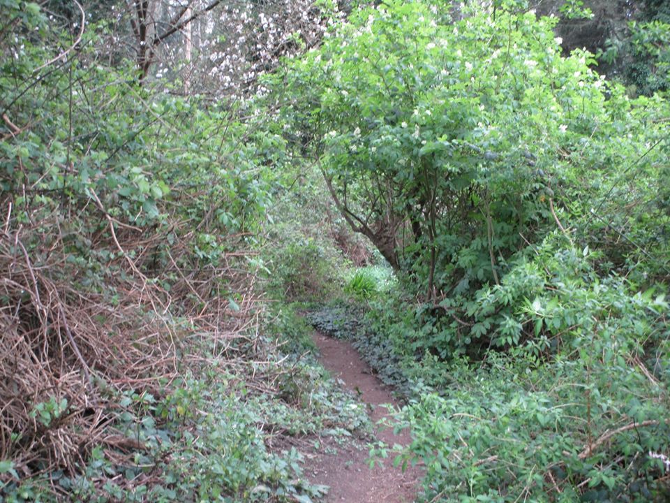 90217607_10221670239691587_8555116838319554560_o