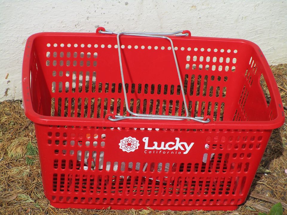 90354395_10221726933948908_271249986723774464_o