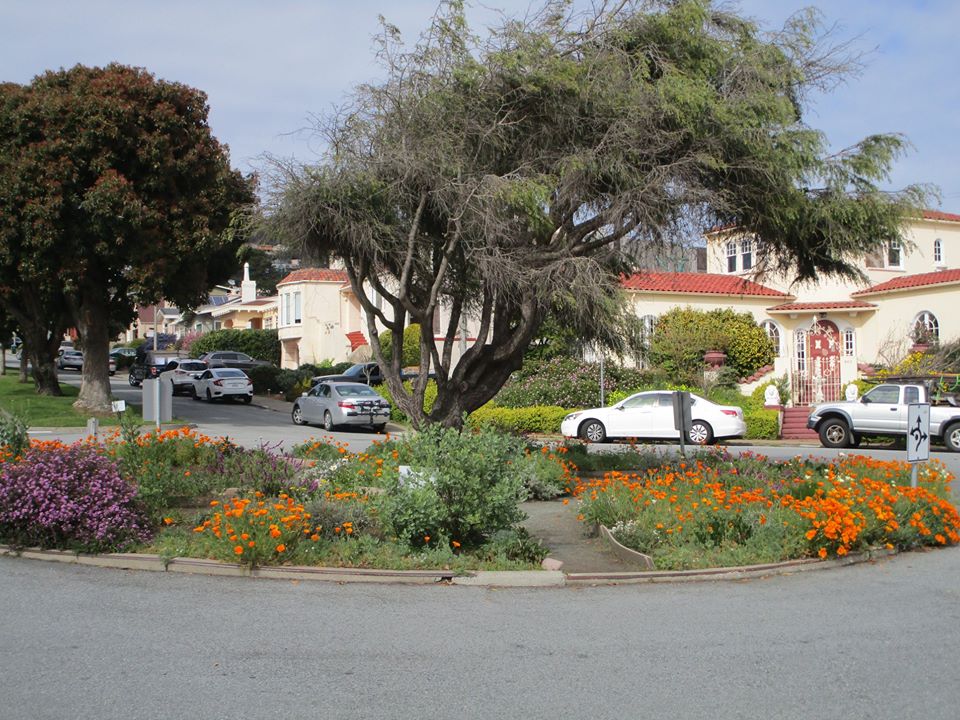 90429869_10221726949709302_3879384778675322880_o