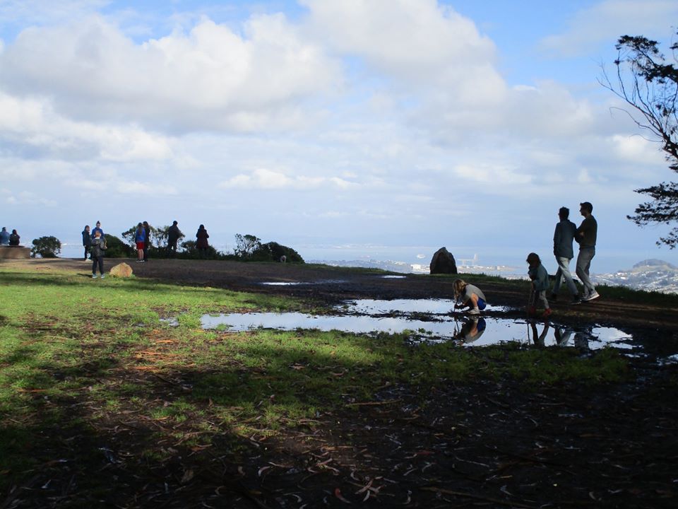 90511040_10221726950629325_6920510417844305920_o