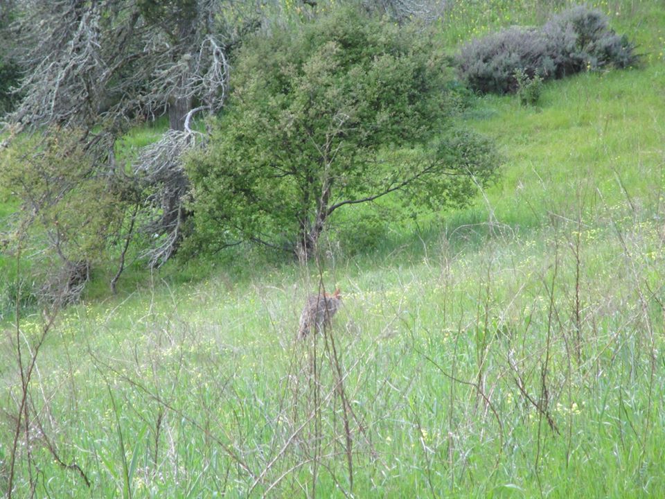 90515108_10221726937588999_8302350157454770176_o