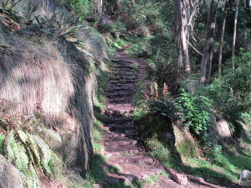 90596254_10221726947909257_5627897373972758528_o