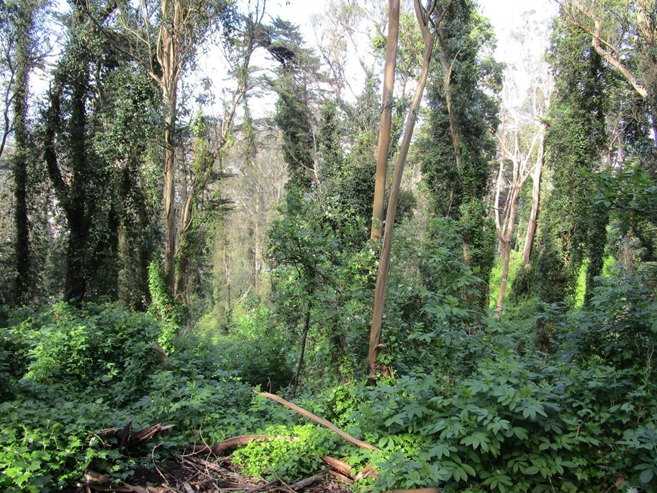 90750354_10221826348154201_7932462175149359104_o