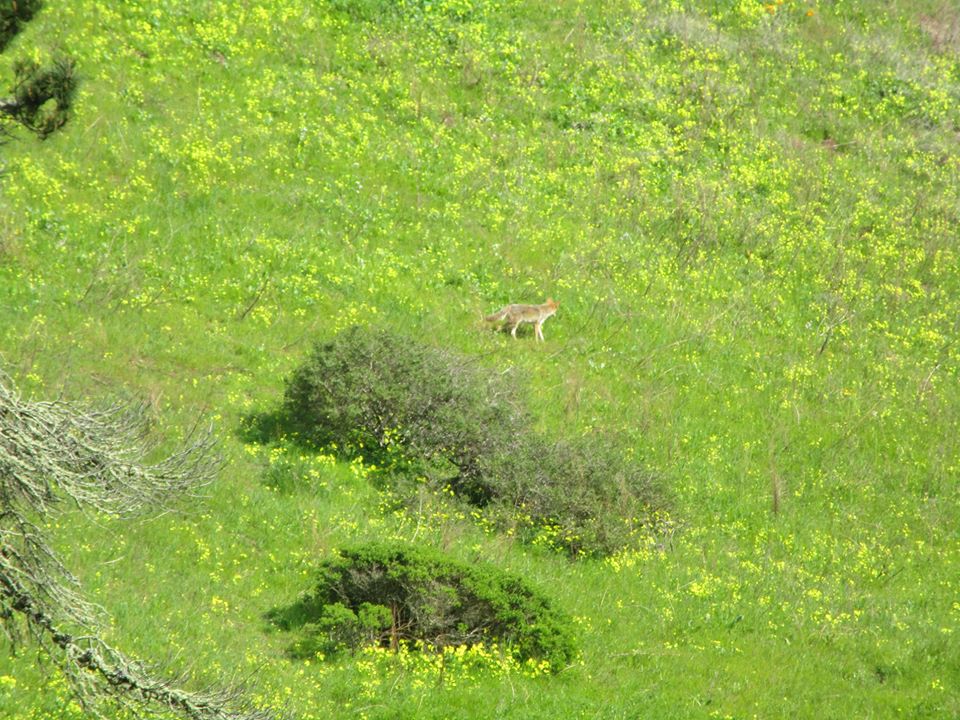 90782652_10221826334953871_5733287487640436736_o