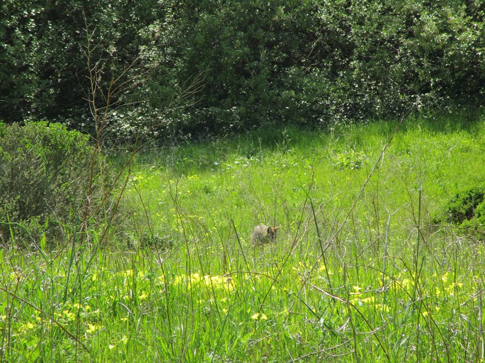 90954429_10221826331393782_7038485356919914496_o