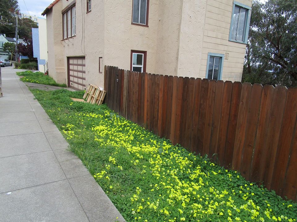 91065557_10221826335953896_5155630702909194240_o