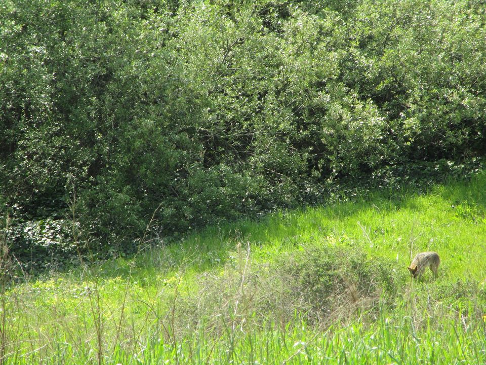 91282220_10221826333193827_8250566870638264320_o