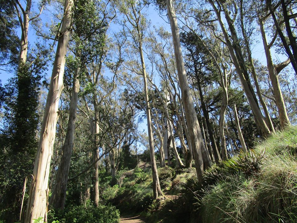 91027632_10221891428981181_1797128476877127680_o