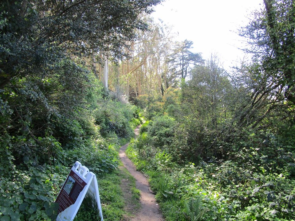 91057031_10221891422381016_1288284416916848640_o